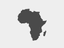Africa flag